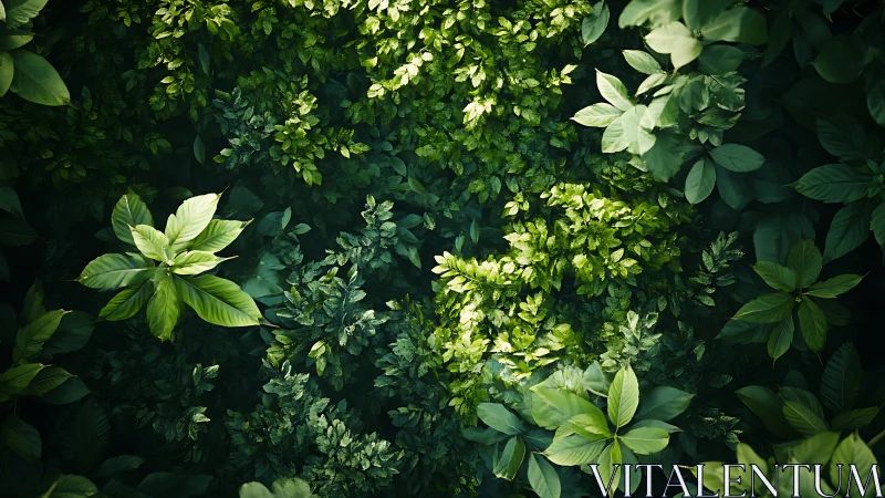 Photorealistic overhead study of dense tropical foliage canopy.