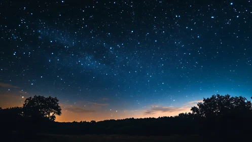Night sky shows dense star field over silhouetted treeline