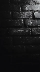 Soft light on dark brick wall, where shadows quietly linger.