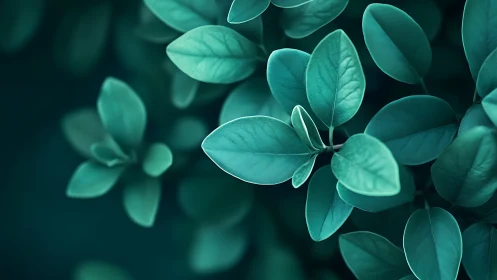 Teal-toned leaves drift in soft, atmospheric focus.