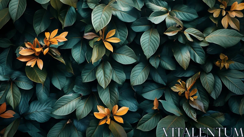 Golden leaves resting gently in a deep emerald canopy.