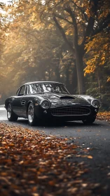 Classic grand touring coupe on misted autumn forest road.