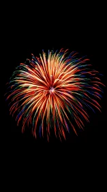 Radiant multicolor firework bursting in a joyful night sky.