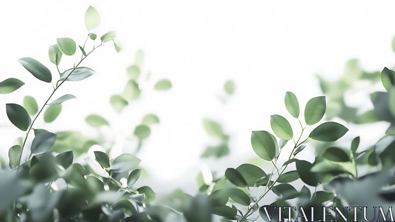 Delicate green leaves on branches in soft focus minimal style.