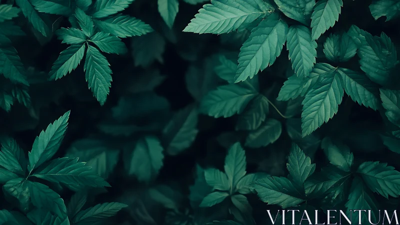 Dark green forest leaves form dense, moody natural pattern.