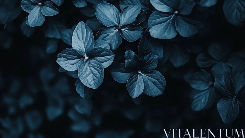 Dark blue-toned leaves fill frame in soft focused arrangement.