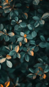 Moody teal foliage with warm orange highlighted leaves.