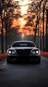 Luxury grand tourer front view under dramatic forest sunset