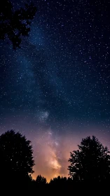 Milky Way core over silhouetted treeline at twilight horizon.