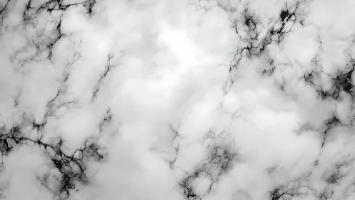 White marble surface with subtle gray veining pattern.