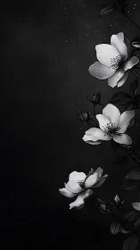 Monochromatic Botanical Study: High-Contrast Floral Arrangement.