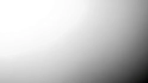 Soft grayscale fade inviting calm reflection and pause.