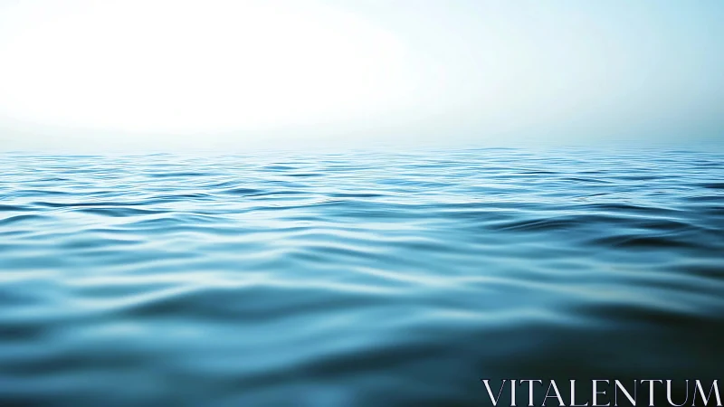 Calm blue ocean surface extending toward bright horizon.