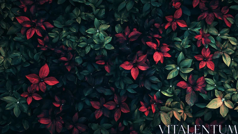 Dense foliage pattern with mixed red and green leaves.