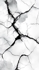 Fractured white surface with dramatic black fault lines.