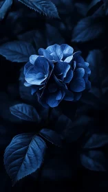 Blue flower bloom displayed in deep shadow with leaf detail