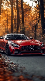 Red Mercedes AMG GT cuts through dense autumn forest road.