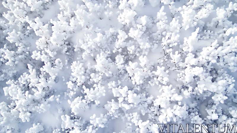 Aerial macro view of frosted shrubs in dense winter snow.