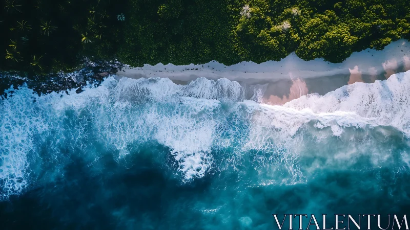 Tropical surf scribbles foamy script along emerald shores