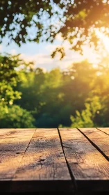 Wooden deck overlooking sunlit garden with bokeh foliage