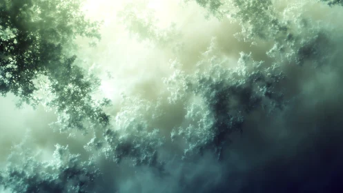 Fractal cloud canopy merges light and shadow gradients.