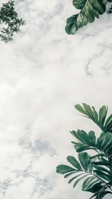 Vertical cloud canopy framed by tropical foliage geometry.
