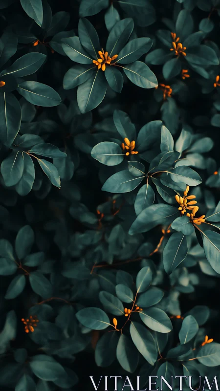 Soft teal leaves with golden buds in gentle forest light.