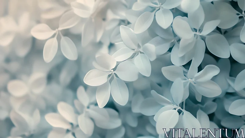 Whispers of frosted petals drifting in a pale dreamscape.