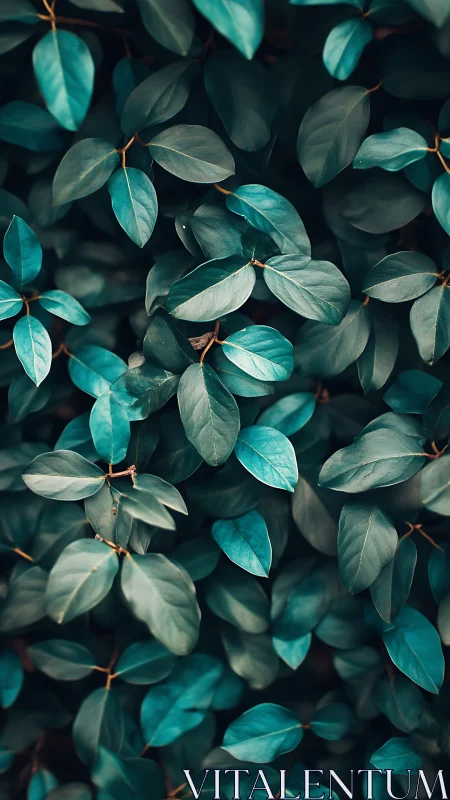 Teal-toned foliage fills frame in lush layered pattern.