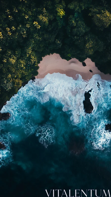 Hidden tropical cove where lush jungle meets turquoise surf.