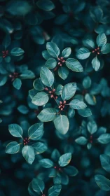 Teal foliage with red buds rendered in shallow depth of field