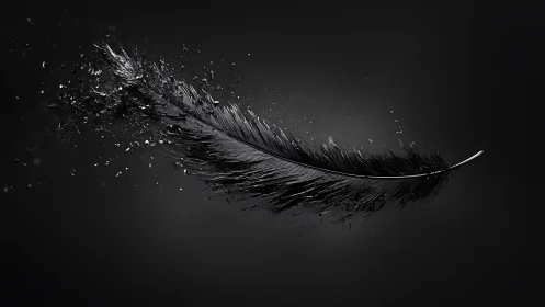 Shimmering black feather drifts apart in quiet dark space