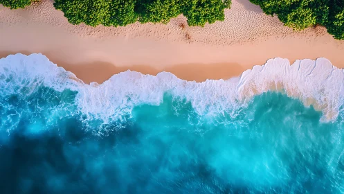 Overhead view shows shoreline, surf line, and vegetation edge