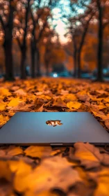 Closed laptop rests on autumn leaves in shallow depth of field