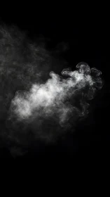 High-contrast white vapor plume disperses against deep black field