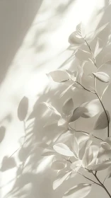 Minimalist leafy branch casting soft shadows on wall.