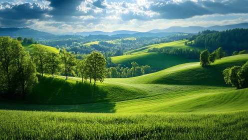 Sunlit green hills roll toward distant blue mountain range