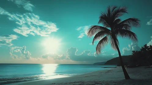 A Serene Tropical Paradise with Palm Tree Silhouette