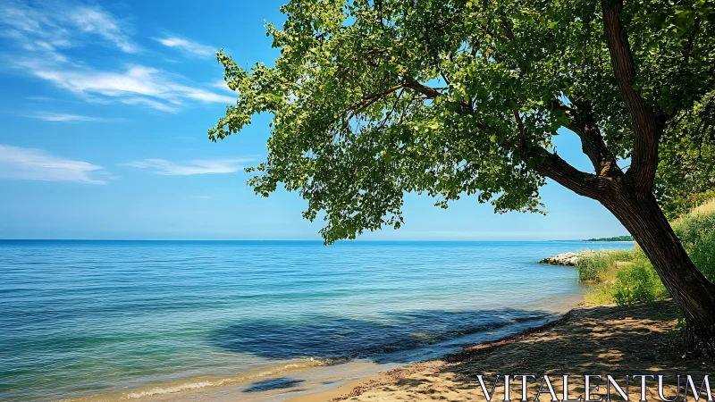 Photorealistic shoreline vista with overhanging lakeside tree canopy.