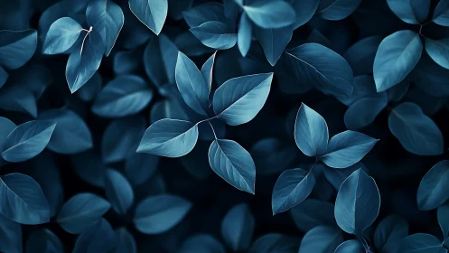 Monochromatic foliage pattern in cool blue tonal range.