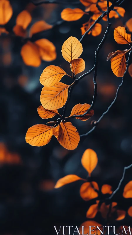 Copper leaves glow against deep teal forest bokeh.