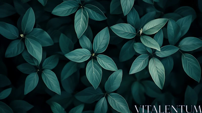 Top-down macro view isolates teal-toned foliage with soft vignetting