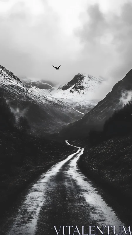 Lonely winding road into misty snowcapped highlands.