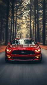 Red sports car cuts forest road with aggressive symmetry.