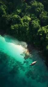 Aerial view of coastal inlet with dense forest canopy.