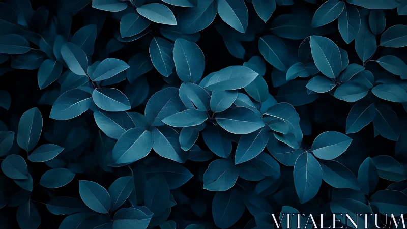 Midnight blue foliage forms a soothing abstract nature pattern