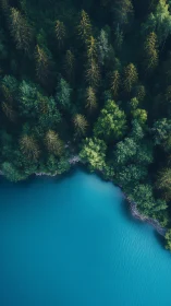 Emerald pines lean over a tranquil blue lake from above.