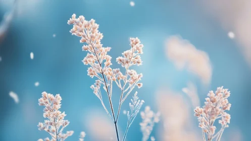 Frost-Covered Wildflowers Against Azure Sky with Bokeh Depth.