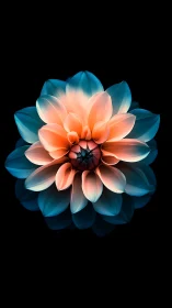 Luminous Bloom: Where Coral Meets Sapphire.