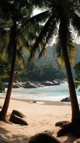 Tropical beach cove framed by palm trees and granite formations